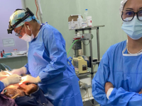 Chirurgie gratuite de masse